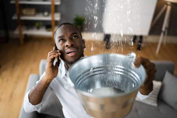 Best Water damage contractors near me  in Salunga, PA