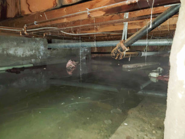 Best Water damage restoration specialists  in Salunga, PA