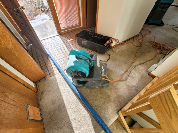 Best Ceiling water damage repair  in Salunga, PA