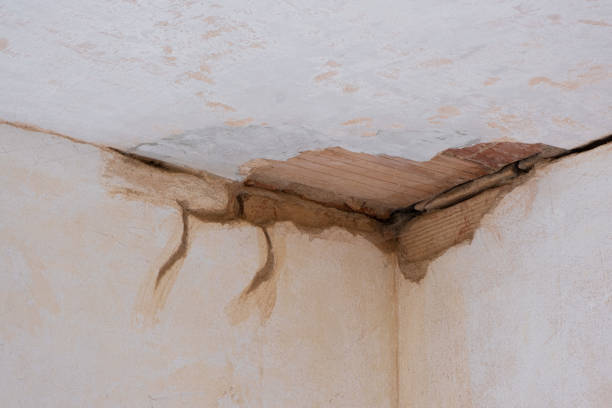 Best Local water damage restoration  in Salunga, PA