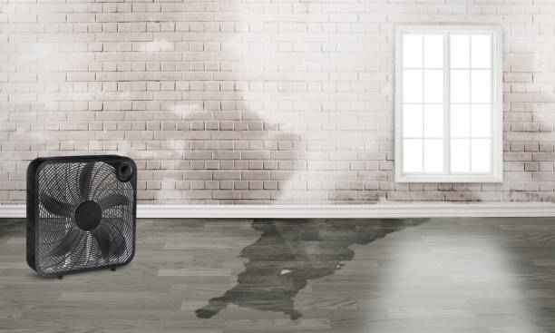 Reliable Salunga, PA Water damage restoration Solutions