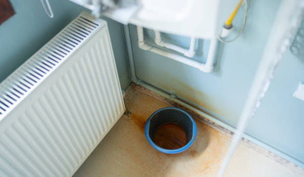 Best Basement water damage restoration  in Salunga, PA